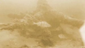 Рыбалка в декабре на Горьковском море Нижегородская область