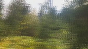 #ОХОТА С ВЫШКИ - КАК ПРИМАНИТЬ КАБАНА / сложная дорога к кормушке!