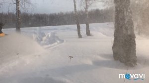 Хорошее настроение!!!)))) И  Снегоход BRP Ski-Doo Tundra LT 550 F