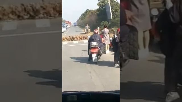 Прикол овцы шагают смотреть онлайн