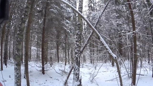 Охота с Русской гончей на зайцев 4 12 21 смотреть онлайн