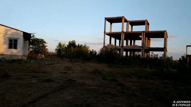 Приехали на сады за яблоками для мочки / Красивая природа смотреть онлайн