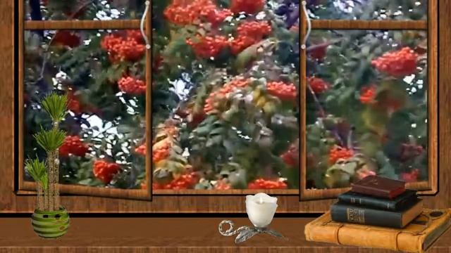 Футаж Природа-РЯБИНА смотреть онлайн