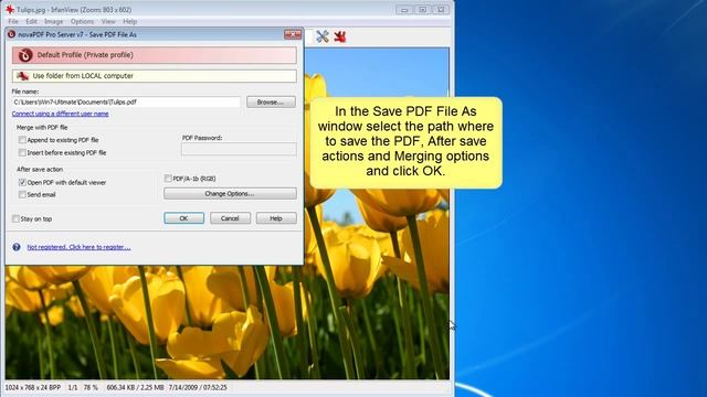 Convert images to PDF using Irfanview смотреть онлайн