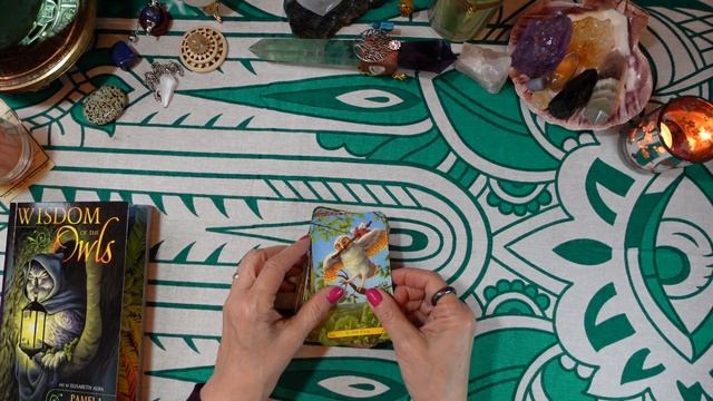 NEW IN 2023! TAROT OF THE OWLS Review - LET OWLS OF ALL SHAPES AND SIZES HELP UNLOCK YOUR INTUITION смотреть онлайн