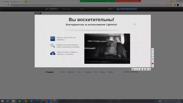 Как быстро делать скриншоты любой части экрана? | Lightshot инструкция за 2 минуты