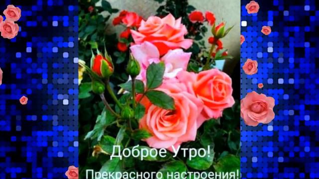 С добрым утро , друзья ! смотреть онлайн