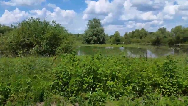 13.07.2017 Новосемейкино, Самарская область. Дача. Река Сок. смотреть онлайн