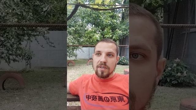 на кого нужно делать ФОКУС чтобы попасть вечность со ХРИСТОМ. https://youtu.be/tcQIDv2yUDk смотреть онлайн
