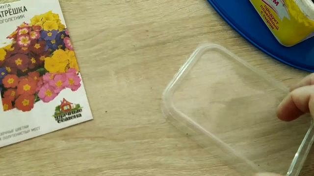 Новый проект сею примулу 4 января смотреть онлайн