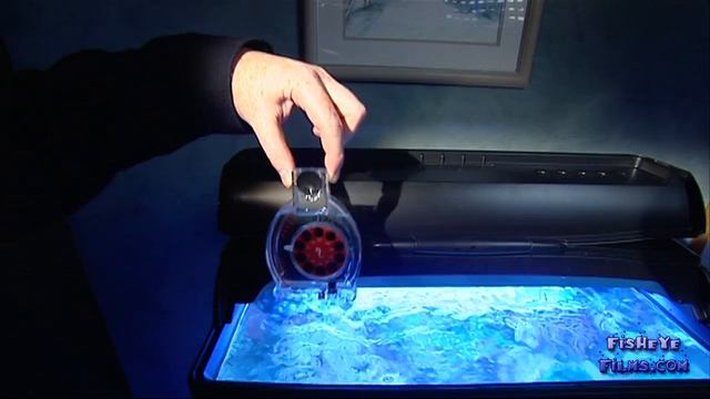 The SALINITY in your Reef Tank R featuring the Redsea Max смотреть онлайн