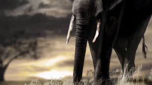 МАМОНТ против СЛОНА ! КТО СИЛЬНЕЕ ?