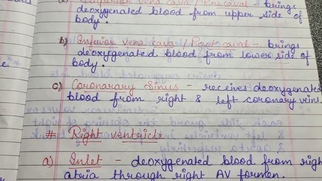Human Heart: Anatomy and Function | Circulatory system смотреть онлайн