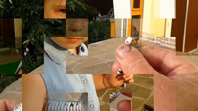 Ловим ужа и отпускаем его на свободу | Girl caught with his grandfather the snake and let him free смотреть онлайн