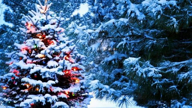Детский хор В лесу родилась ёлочка смотреть онлайн