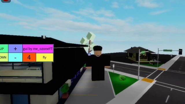 How to fly in Brookhaven? Real??? ? смотреть онлайн