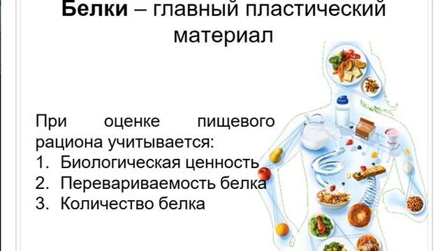 Рациональное питание и профилактика нарушений.mp4 смотреть онлайн