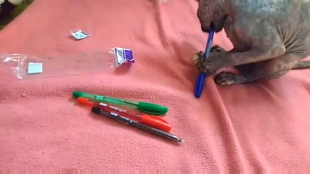 СУПЕР МЕГА ГИПЕР BACK TO SCHOOL ОТ #МИССИСЕВЧАНСКОЙ