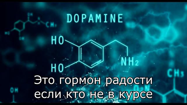 ЭКСПЕРИМЕНТ 20 дней без МЯСА смотреть онлайн
