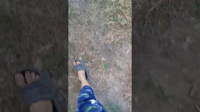VLOG: Спасаем Аркадия, шопимся, проводим последние деньки лета вместе смотреть онлайн