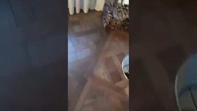 Обыск у Музраева? правда или нет? смотреть онлайн