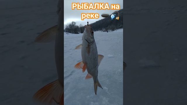 РЫБАЛКА на МОРМЫШКУ ? РЕКА ЗУША ???????️?️??? смотреть онлайн