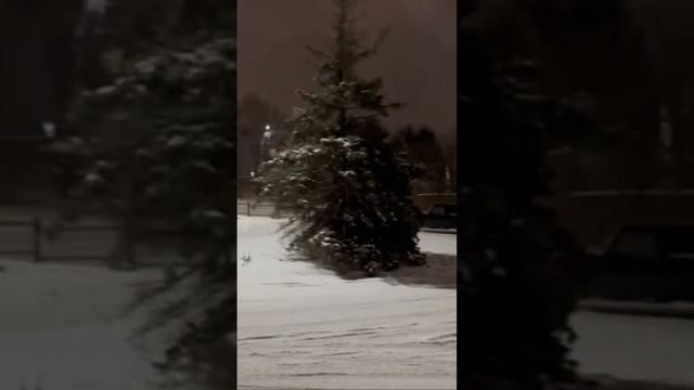 Subaru Sound Hyundai Accent