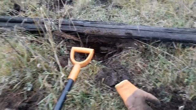 #20_kg_monet_kajdomy. Коп царских монет с MINELAB E-TRAC в Забайкальском крае смотреть онлайн