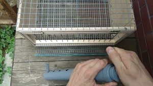 Кормушка для перепелов без разброса корма.