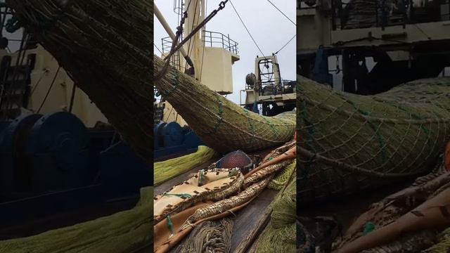 Жесть!!море рыбы смотреть онлайн