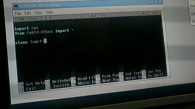Python3: PyQt4 QLabel смотреть онлайн