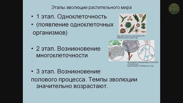 Попова А.А. Эволюционное развитие растительного мира смотреть онлайн