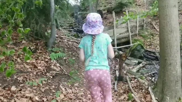 Прогулка в лесу. Каких животных можно встретить в горах. Поход к водопаду смотреть онлайн