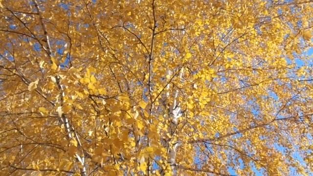 Мне хотелось бы ЖИТЬ!!! Денис Майданов. смотреть онлайн