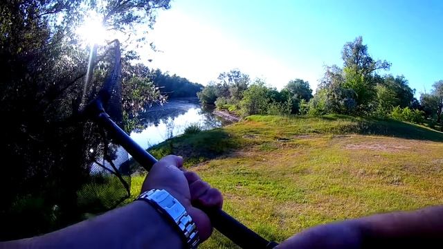 ТЕСТ СКЛАДНОГО ПОДСАКА с АлиЭкспресс от FishingSir | Для рыбалки с лодки и берега смотреть онлайн