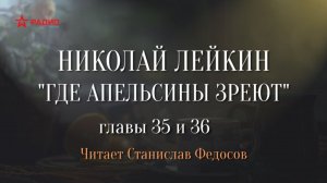 Николай Лейкин. «Где апельсины зреют». Аудиокнига. Главы 35 - 36