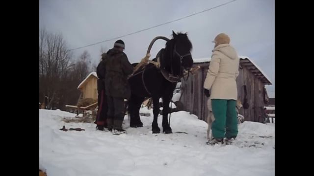 Запряг и езда 3 смотреть онлайн