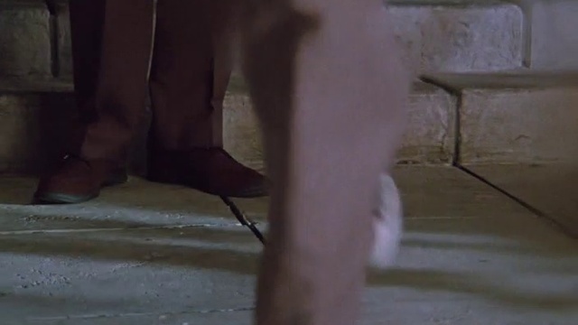 Иван Васильевич меняет профессию смотреть онлайн