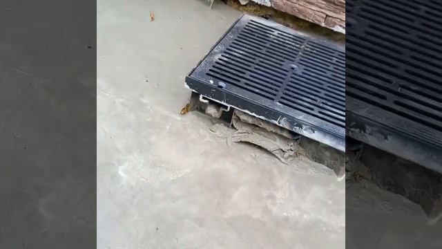 #отмостка#монолитноестроительство