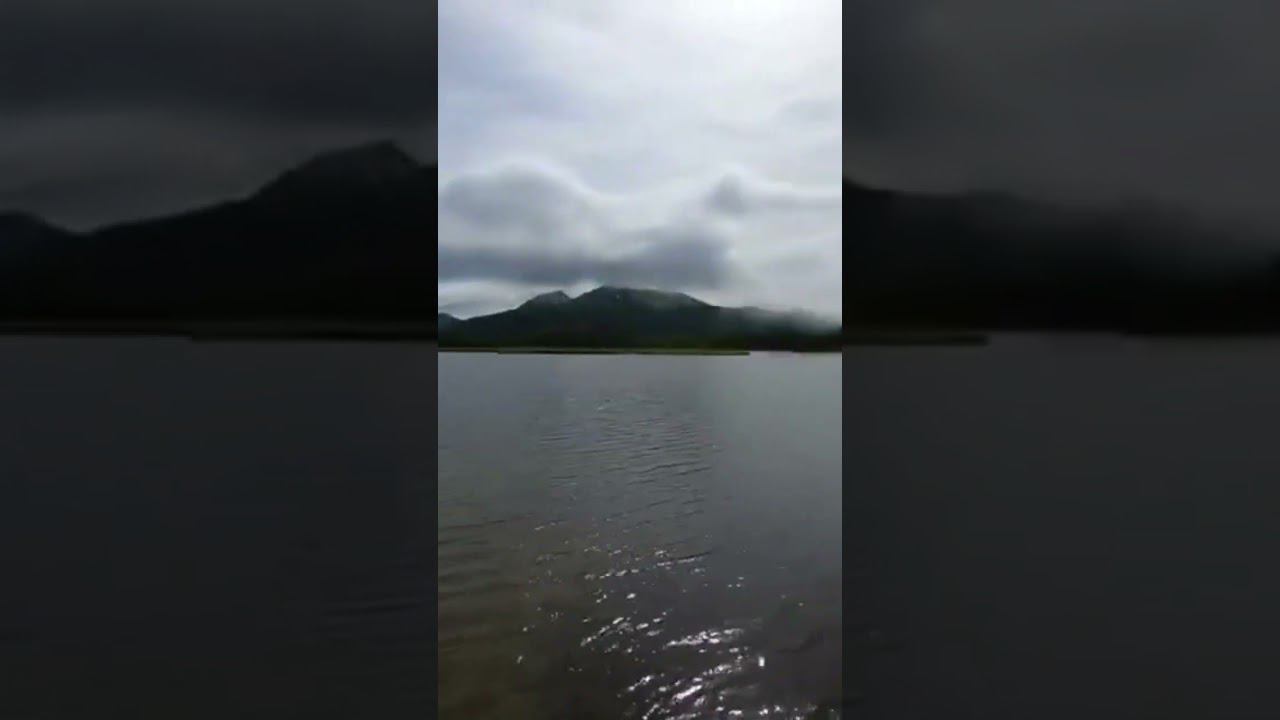 гоха ныряет