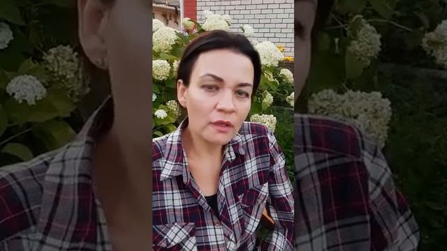 Мастерские для ребят с ментальными особенностями смотреть онлайн