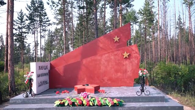 Покрасили, облагородили и дорогу сделали. Территория м смотреть онлайн