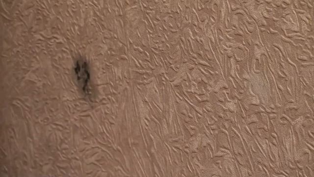 Как отмыть пластилин от обоев смотреть онлайн