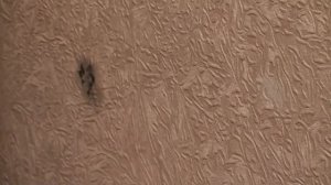 Как отмыть пластилин от обоев