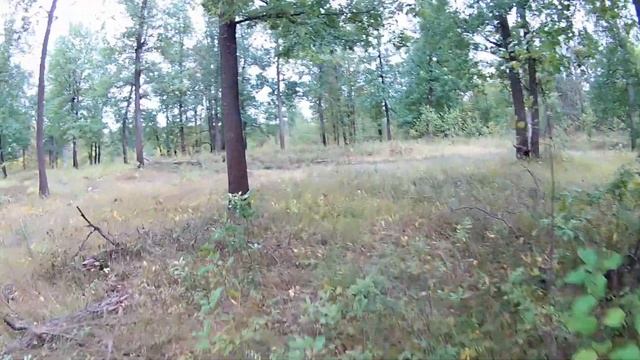 Покатушка по лесу на эндуро - Enduro trail riding in a forest. смотреть онлайн