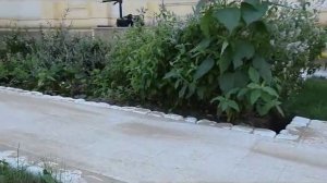 Новация-бордюр из брусчатки на всю высоту камня