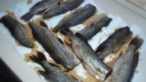 Вяленая  Щука  в соевом соусе  //   Dried Pike