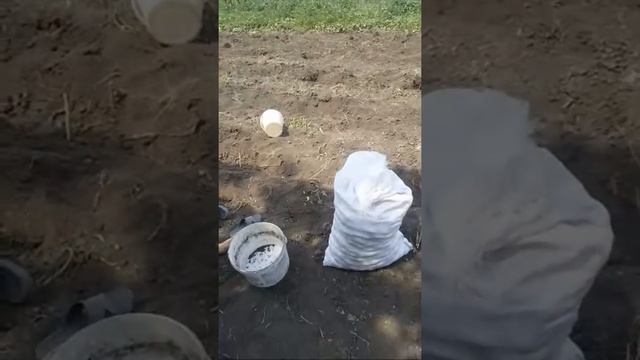 Соревновагия Уборка Картошки 2 смотреть онлайн