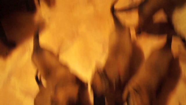Malinois 33 days (Щенки малинуа 33 дня) смотреть онлайн