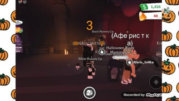 Открываем cat box ✨?